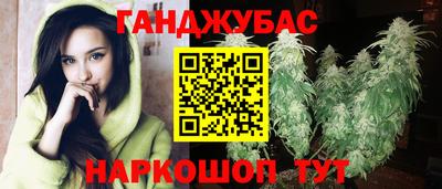 ECSTASY Новозыбков