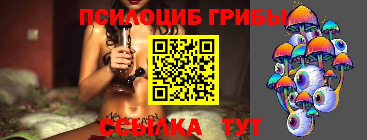 Псилоцибиновые грибы мухоморы  Вход с VPN  купить   Саратов  Псилоцибиновые грибы Magic Shrooms 